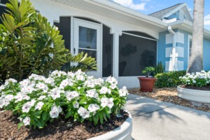 Palm Cottages exterior