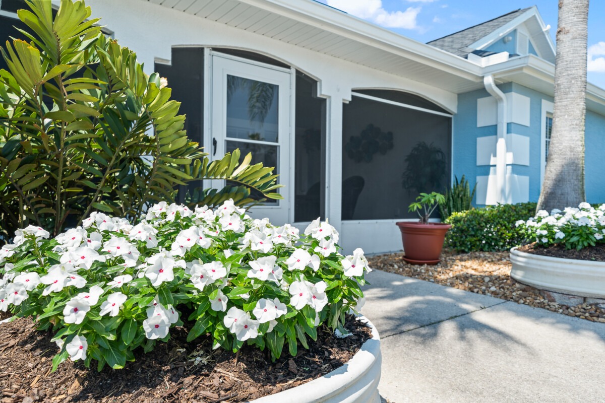 Palm Cottages exterior