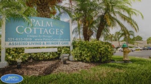 Palm Cottages - Contact Us